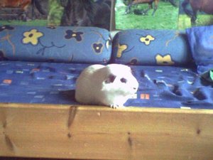 Bilder vom Handy 090.jpg