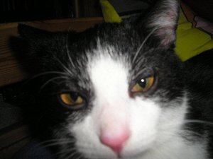 P1010032 (Small).JPG