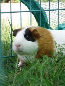 P7230014 (Small).JPG