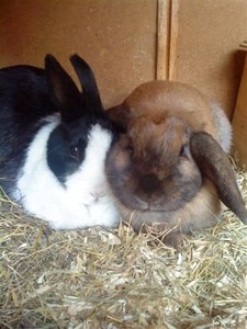 DSC00204 (Small).JPG