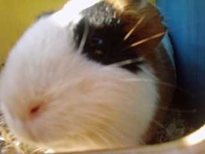 Marie&truttchen (22).jpg