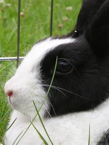 P1010021 (Small).JPG