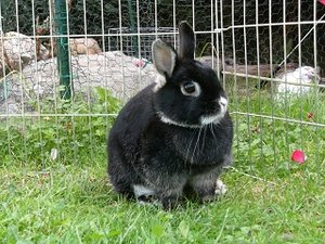 k-Finepix J50 134.jpg