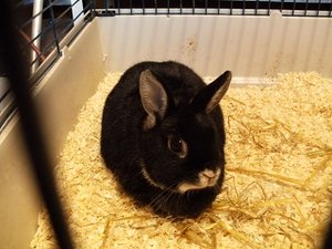 k-Finepix J50 126.jpg