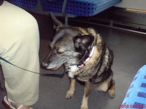 Alisha mit im Zug.JPG