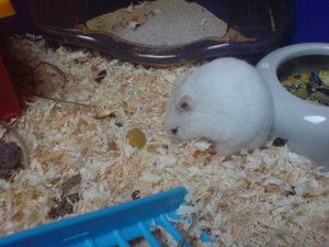 cyber-shot digi 008.jpg