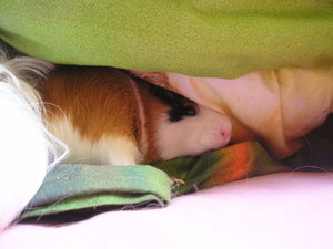 Marie&Tommy (80).JPG