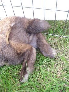 P1010045 (Small).JPG