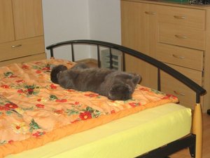 so schlÃ¤ft man 003...jpg