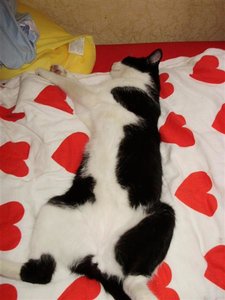 P7210017 (Medium).JPG