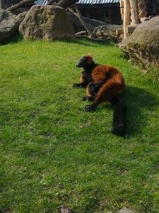 Milena Fotos 063.jpg