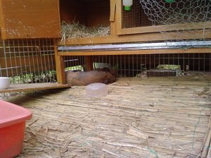 P&L 09 (112) (Large).jpg