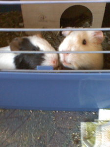 Neue Pics xD 140.jpg