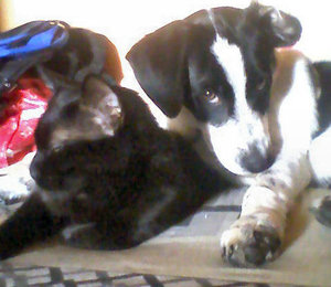 dj und junior (2).jpg