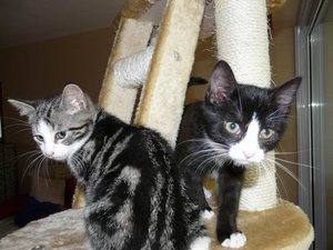 Größenänderung P1030671.JPG