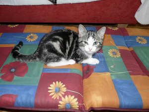 GrÃ¶ÃŸenÃ¤nderung P1030664.JPG