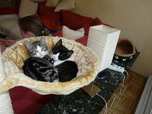 Größenänderung P1030655.JPG