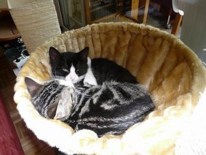 Größenänderung P1030654.JPG