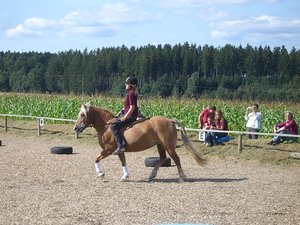 Jeanny leicht unten.JPG
