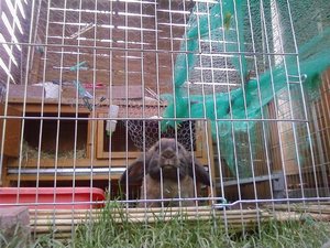 P&L 09 (55) (Large) (Small).jpg