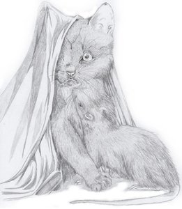 kitten mit ratte2.JPG