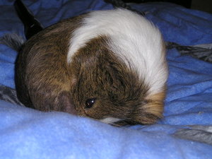 Tommy&MArie (646).JPG