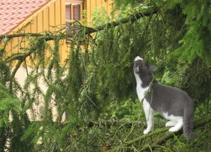 Klettermaxe. ..001.jpg