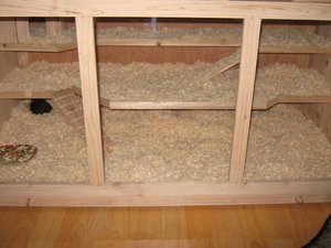 Whoopis KÃ¤fig.JPG