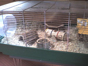 emmyÂ´s kÃ¤fig.jpg