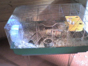 Bild 398.jpg Bild 398.jpg