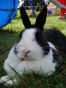 P7230037 (Small).JPG