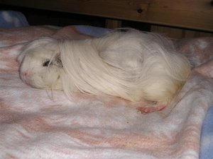 Tommy&MArie (231) (Medium).JPG