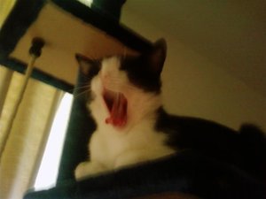 P19-07-09_11.47[2] (Medium).jpg