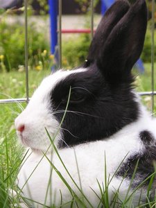 P1010025 (Medium).JPG