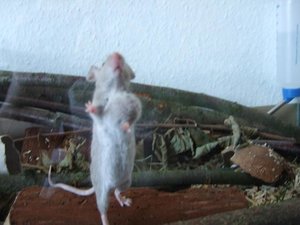 Kopie von DSCF1648.JPG