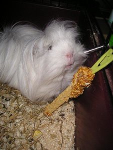 Marie&truttchen (69) (Medium).JPG