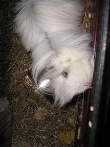 Tommy&MArie (83) (Medium).JPG