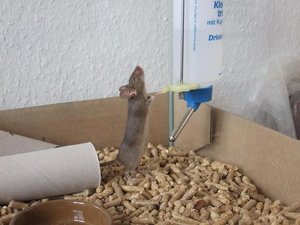 Kopie von DSCF1540.JPG