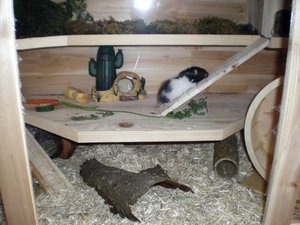 k-Aufstieg in die Mooslandschaft.JPG