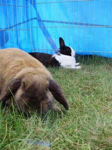 P7230067 (Medium).JPG