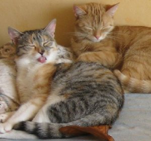 Nevra und Cailin.JPG