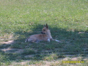 Lupito und Ambar 064.jpg