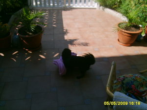 neue wohnung 012.jpg