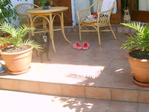 Lupito und Ambar 003.jpg