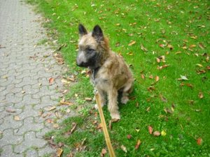 Inka Wiese 2 290909.jpg