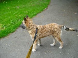 Inka Wiese 290909.jpg