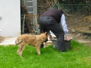 Inka will helfen.jpg