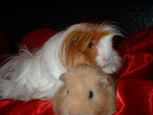 ben und richy fÃ¼r wettbewerb.jpg