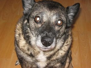 Ich bin sooo brav.JPG