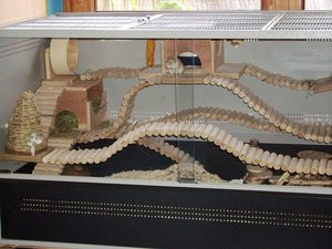 k-Oben ist das beste PlÃ¤tzchen.JPG